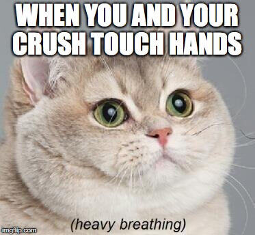 When you and your crush touch hands