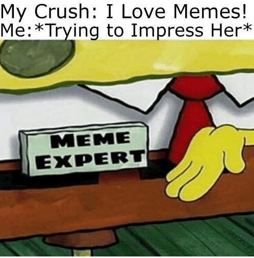 I love memes to meme expert